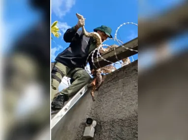 A Prefeitura divulgou uma arte de como será o novo parque