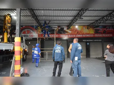 A morte das nove aves foi confirmada como resultado da infecção por gripe aviária após exames realizados