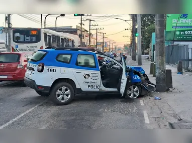Animal da espécie Spheniscus magellanicus aparece durante migração sazonal nas praias do Rio