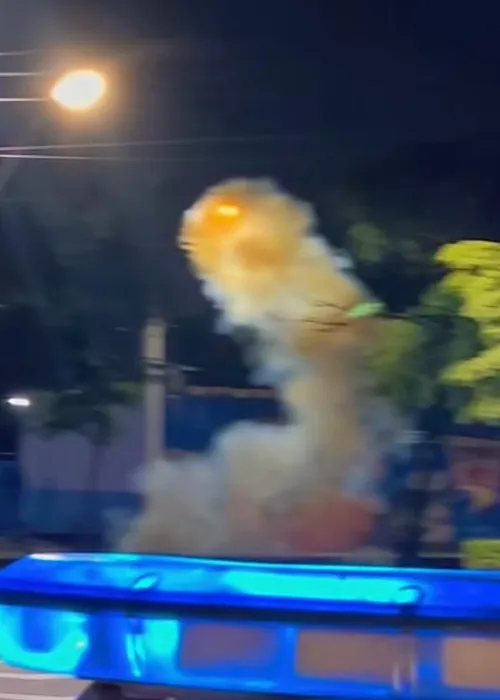 O explosivo foi detonado pelo Esquadrão Antibomba da Polícia Civil