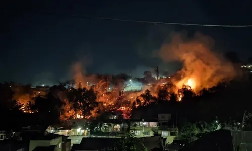 Fogo atinge grande parte da vegetação