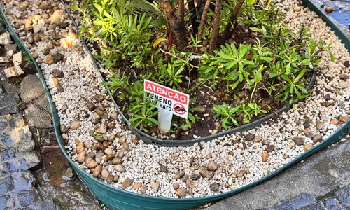 Placa em canteiro no bairro Icaraí