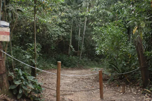 Meta do Município é ampliar áreas verdes na cidade
