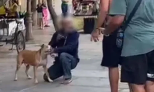 Homem em situação de rua seria o tutor do pitbull