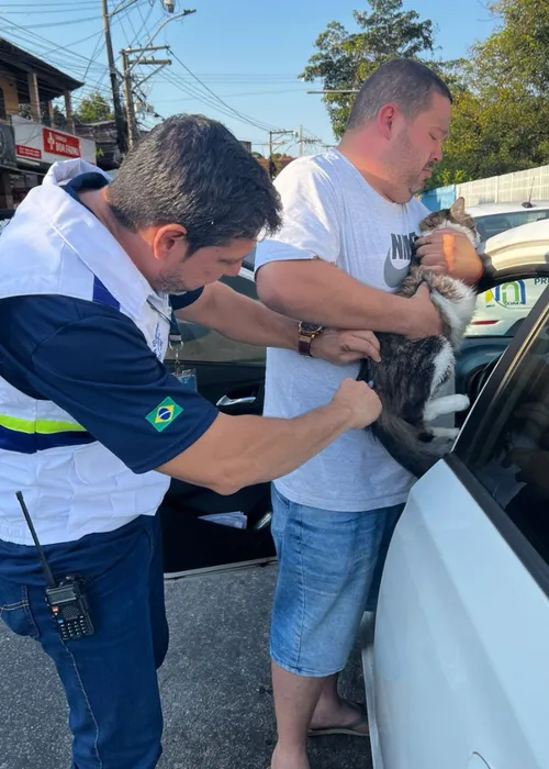 Podem ser vacinados animais com mais de 3 meses de idade e que não estejam doentes.