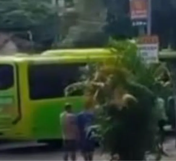 Ônibus fora de controle invade loja em Niterói