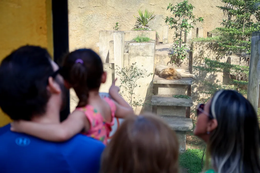 Inclusão: Clínica leva crianças com autismo a passeio no Bioparque