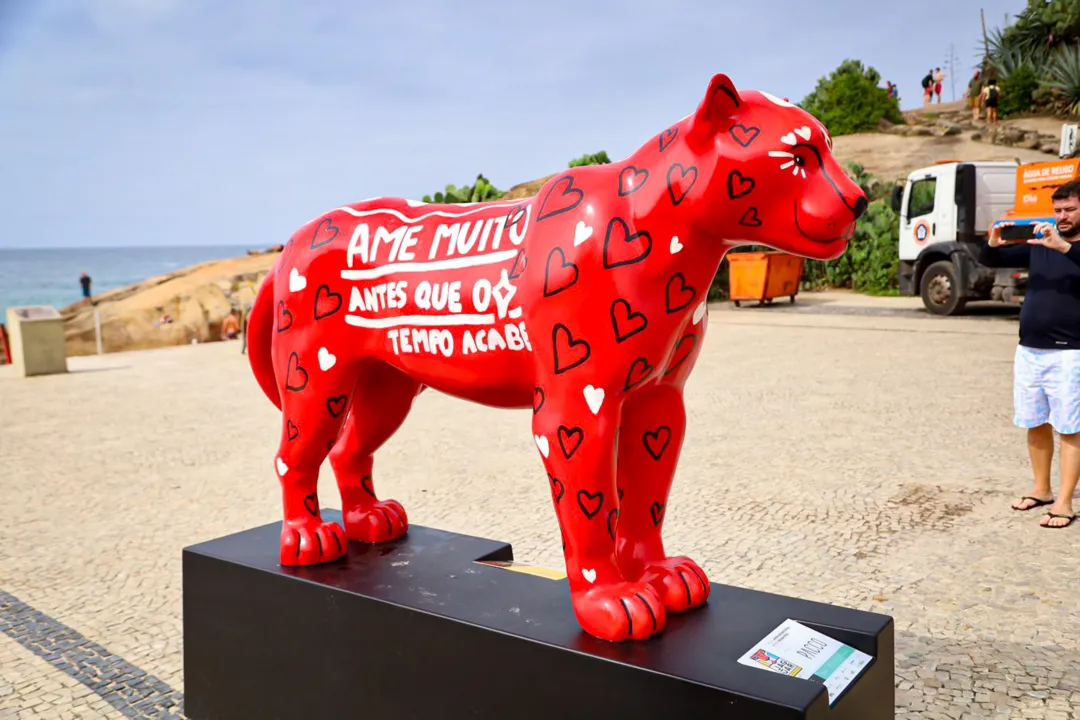 Onças-pintadas 'visitam' calçadão de praia carioca e encantam