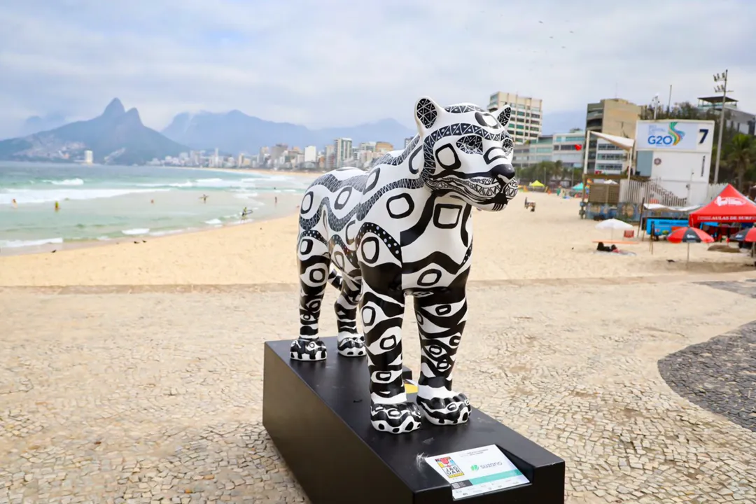 Onças-pintadas 'visitam' calçadão de praia carioca e encantam