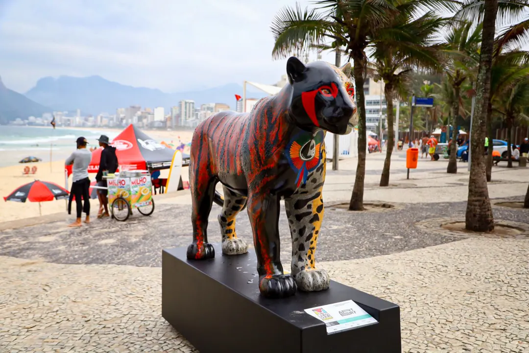 Onças-pintadas 'visitam' calçadão de praia carioca e encantam