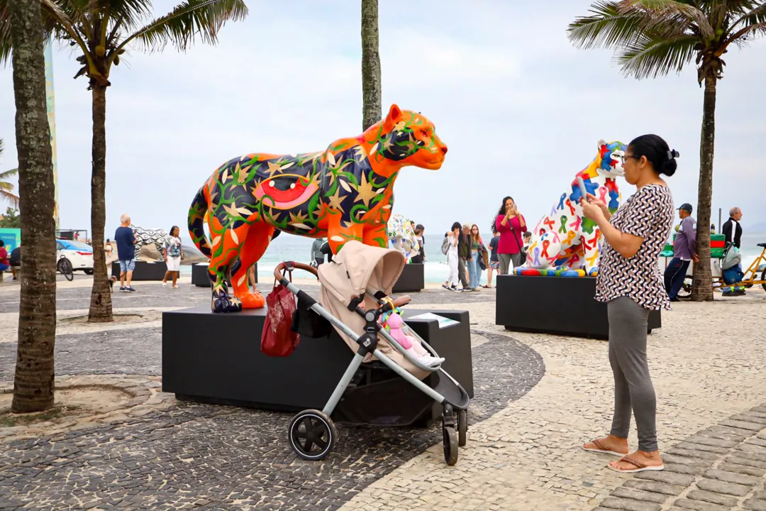 Onças-pintadas 'visitam' calçadão de praia carioca e encantam