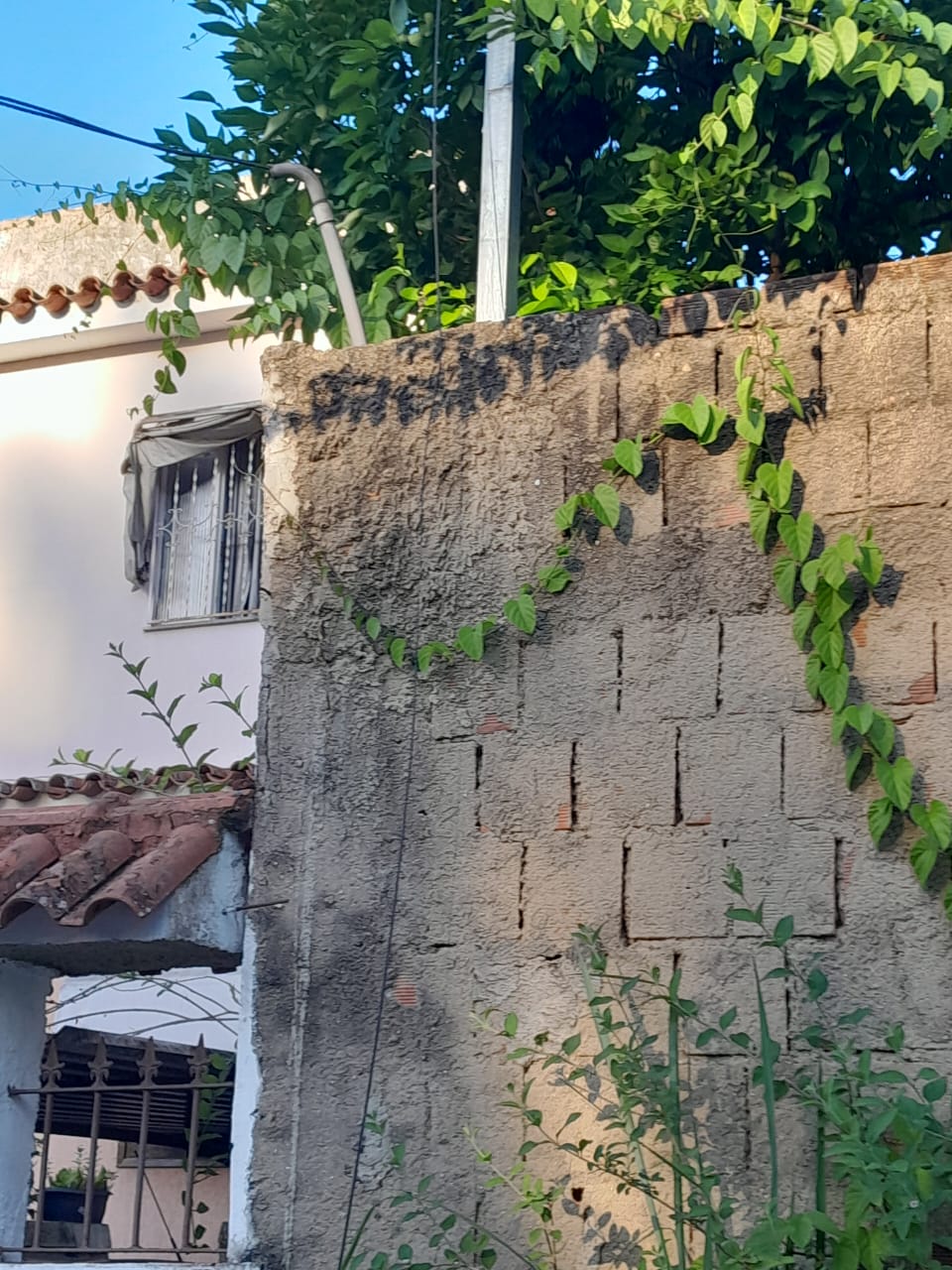 Família enfrenta problema com falta de luz após corte de energia