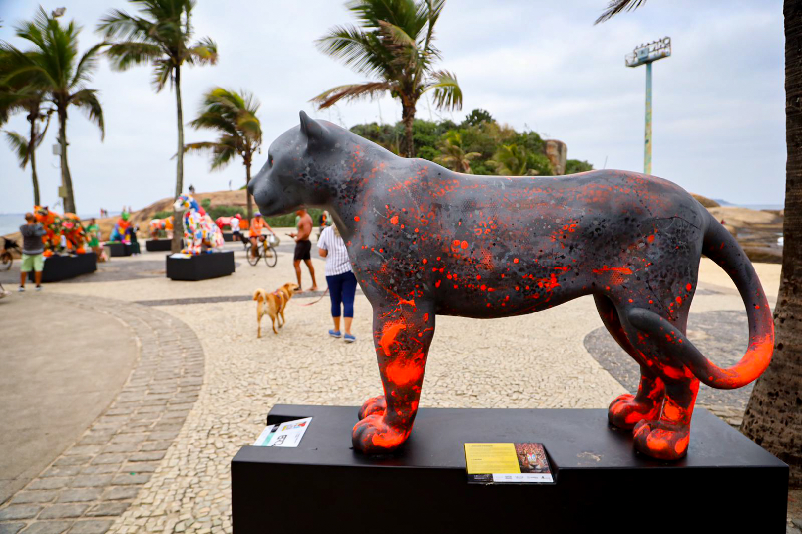 Onças-pintadas 'visitam' calçadão de praia carioca e encantam