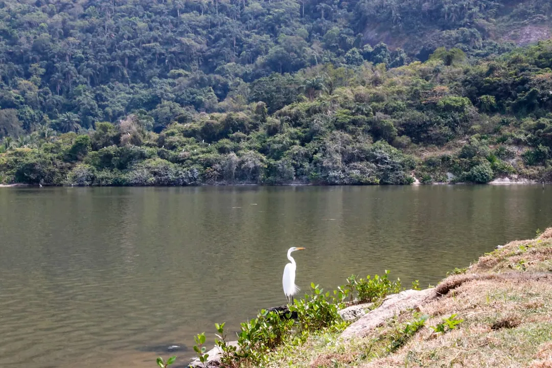 Com diversas atrações, o parque se estende por 680 mil metros quadrados