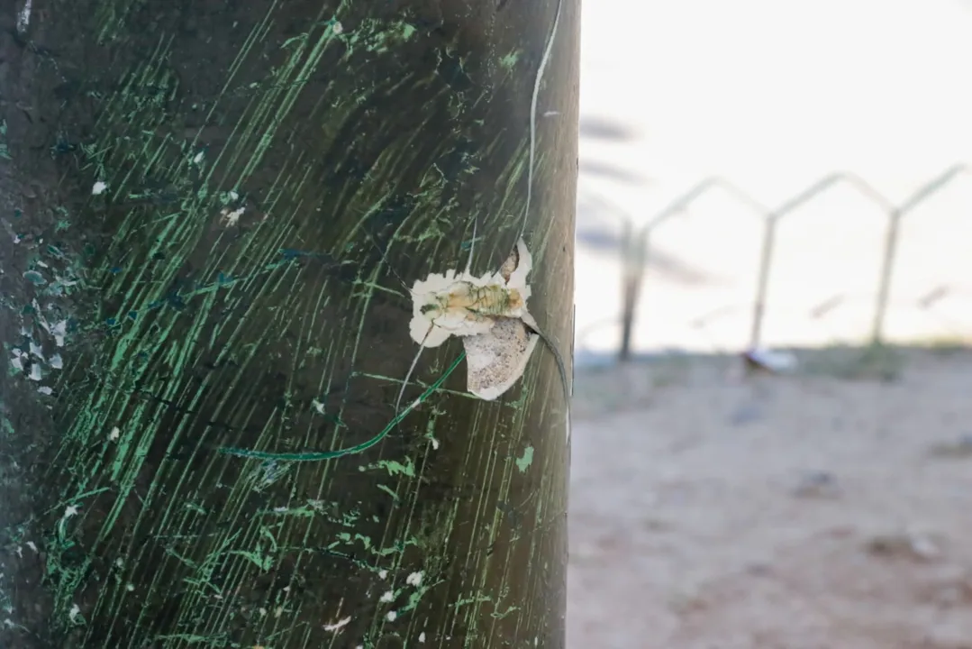 Marcas do horror: cenário de guerra após ataque em praça no Rio