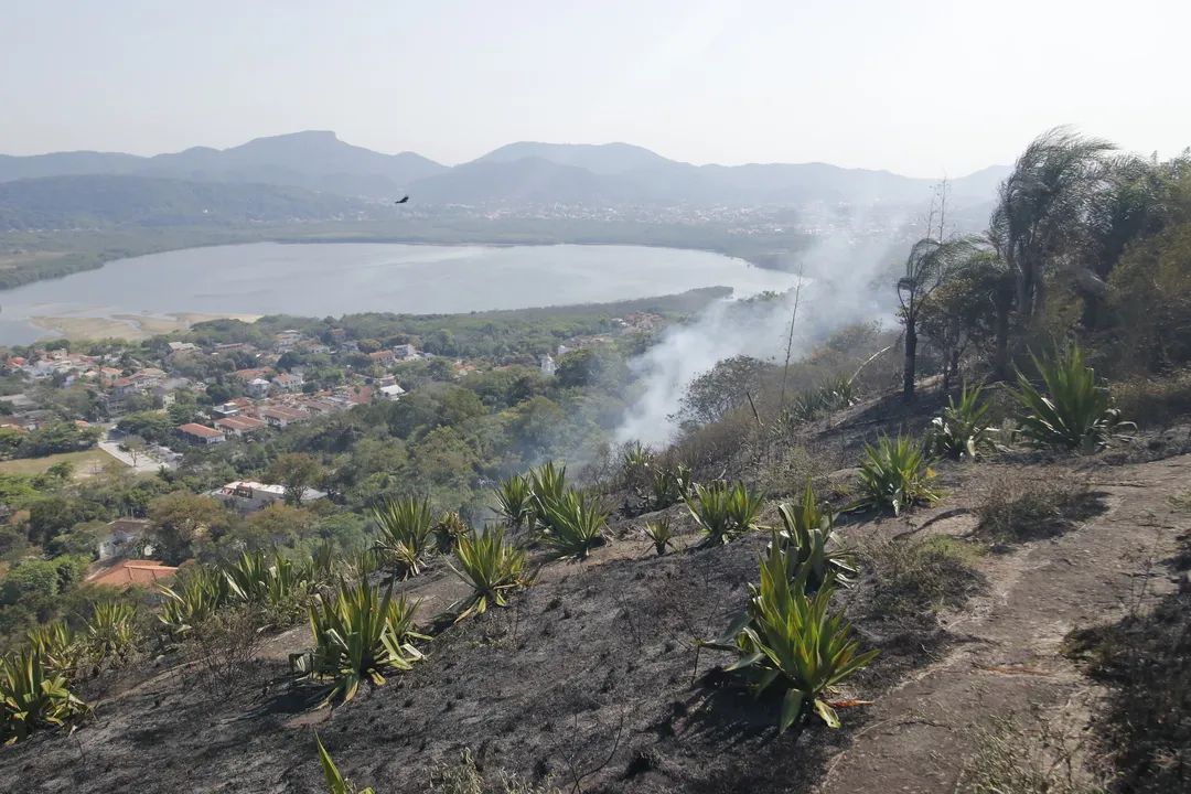 Moradores denunciam que incêndio foi criminoso em morro de Niterói