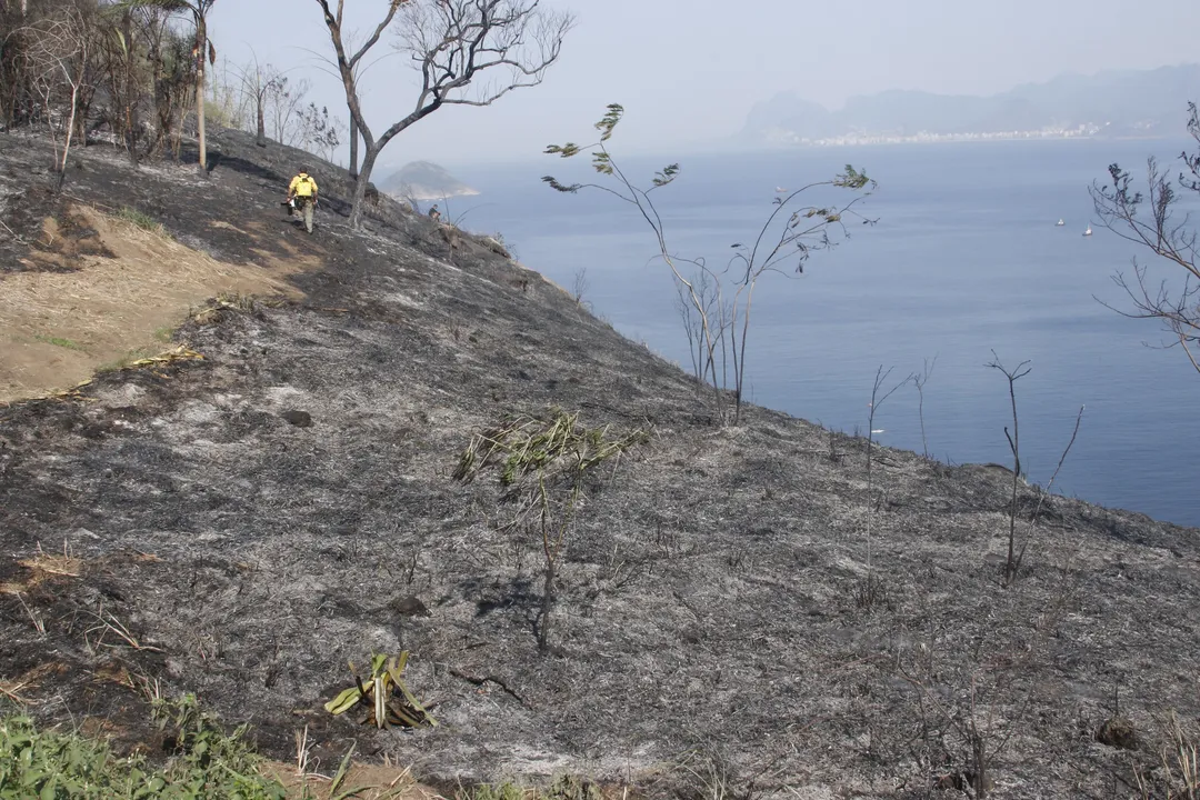 Moradores denunciam que incêndio foi criminoso em morro de Niterói