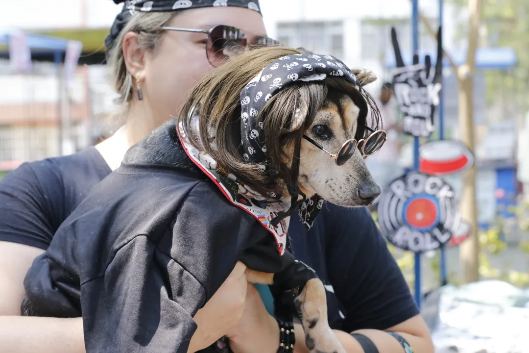 Rockão in Niterói: cachorros fantasiados brilham em desfile