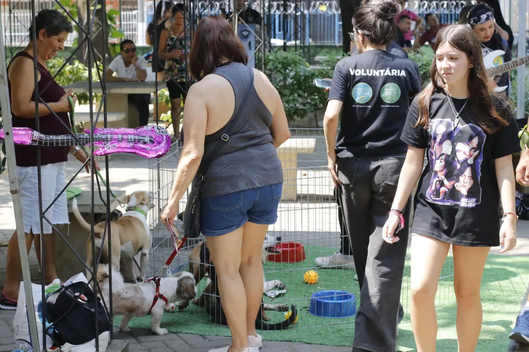 Rockão in Niterói: cachorros fantasiados brilham em desfile