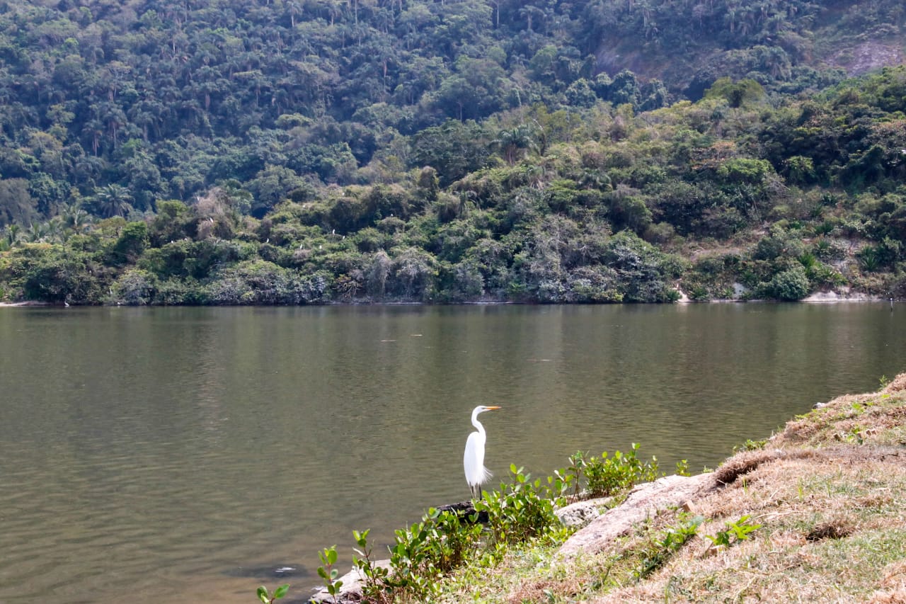 Com diversas atrações, o parque se estende por 680 mil metros quadrados