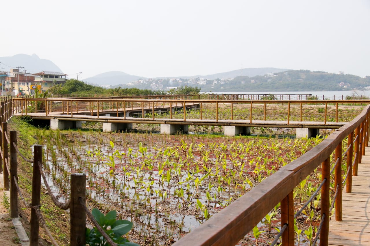 Jardins filtram as impurezas das águas pluviais e das bacias hidrográficas dos rios locais