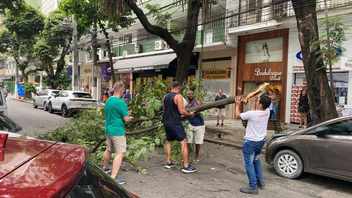 Árvore cai e fecha rua importante na Zona Sul de Niterói