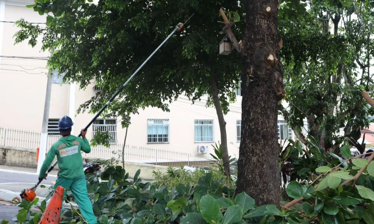 Cidade limpa: mais de 4 toneladas de fios retirados em Niterói