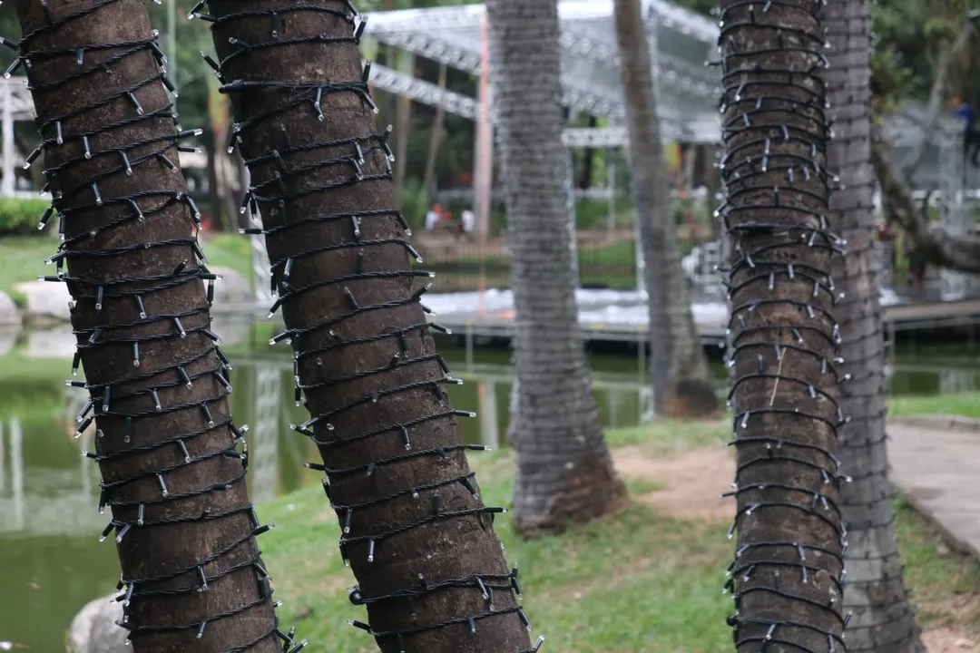 Decoração natalina em Niterói: saiba tudo sobre a programação