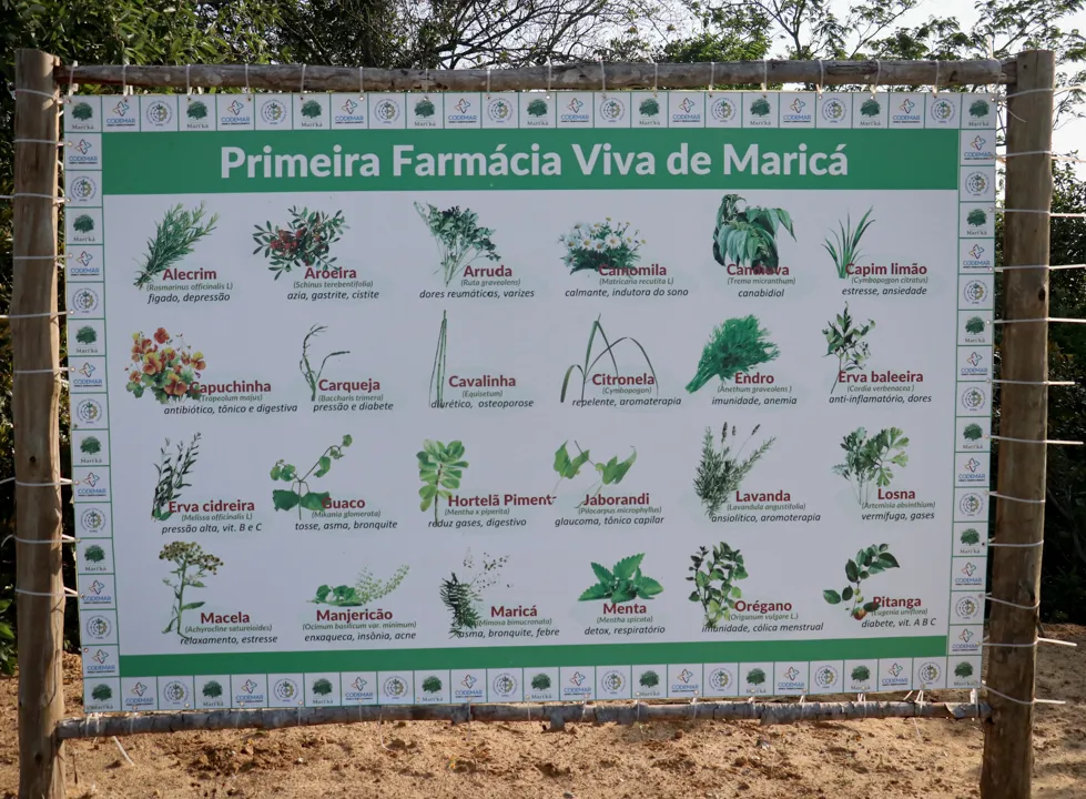 Espaço é rico em área verde, e tem uma vista de tirar o fôlego