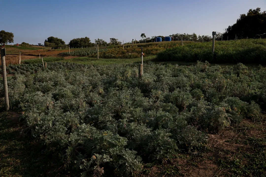 Espaço é rico em área verde, e tem uma vista de tirar o fôlego