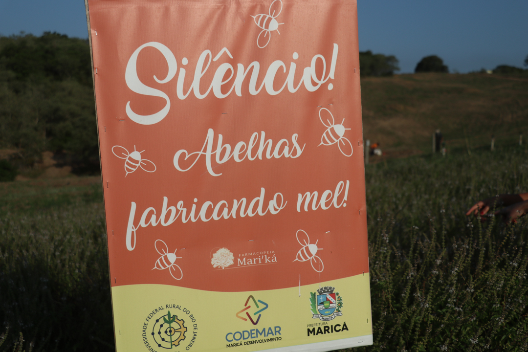 Espaço é rico em área verde, e tem uma vista de tirar o fôlego