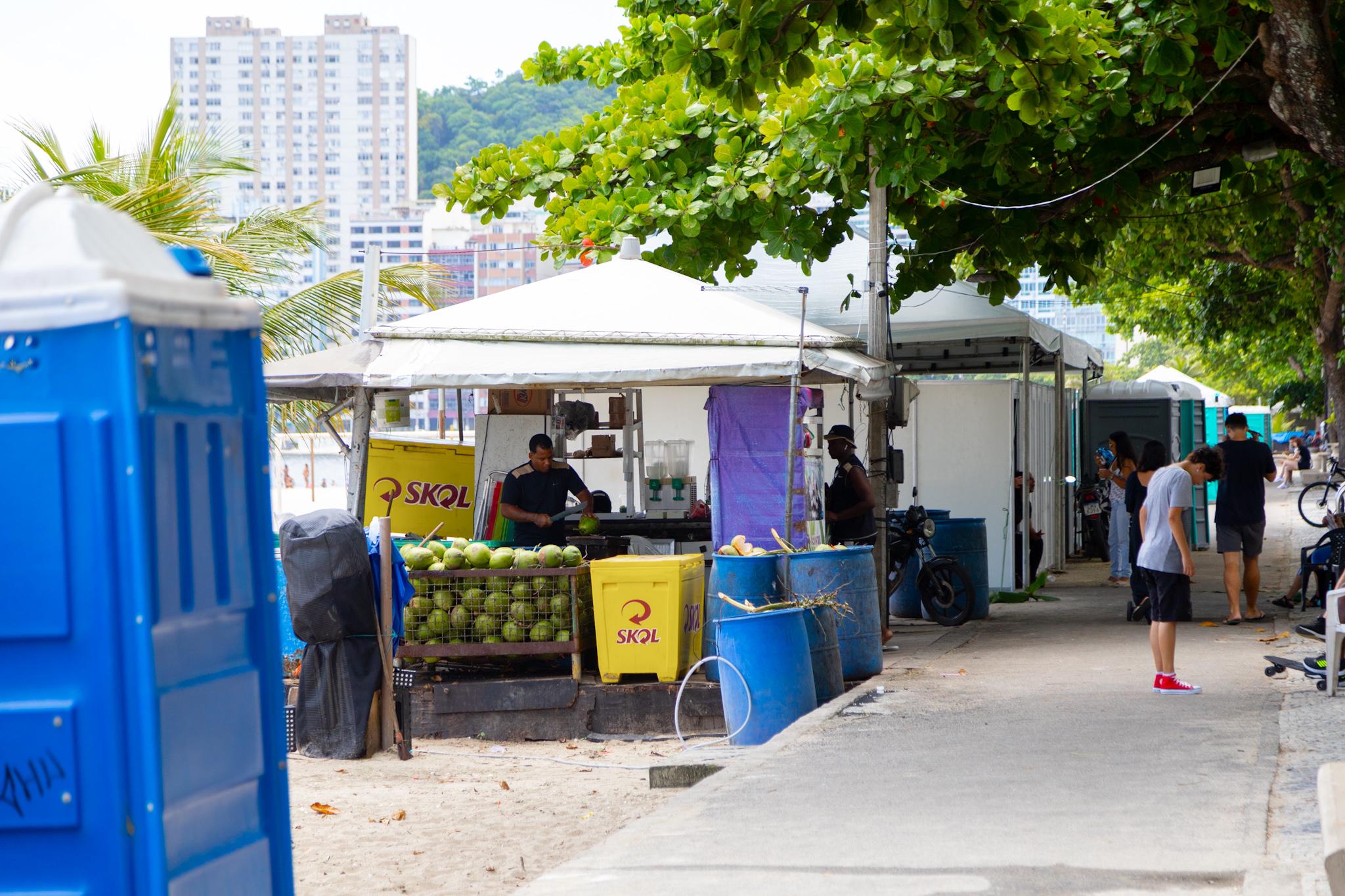 Banheiros químicos estarão à disposição do público