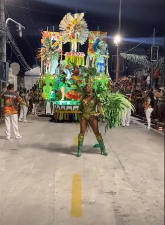 Escola apostou no samba-enredo: ''Os pássaros da noite e o segredo das criações''