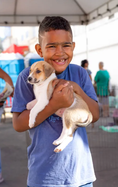 Animais abandonados ganham novo lar após campanha em Maricá