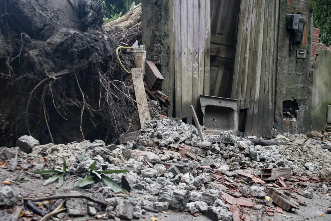 Árvore derruba muro após forte temporal em Niterói