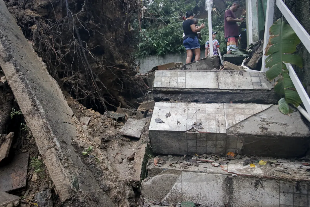 Árvore derruba muro após forte temporal em Niterói