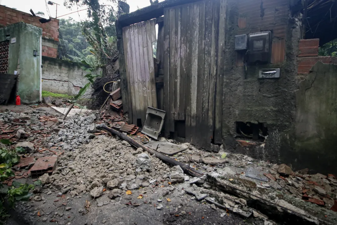 Árvore derruba muro após forte temporal em Niterói