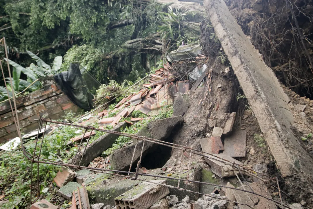 Árvore derruba muro após forte temporal em Niterói