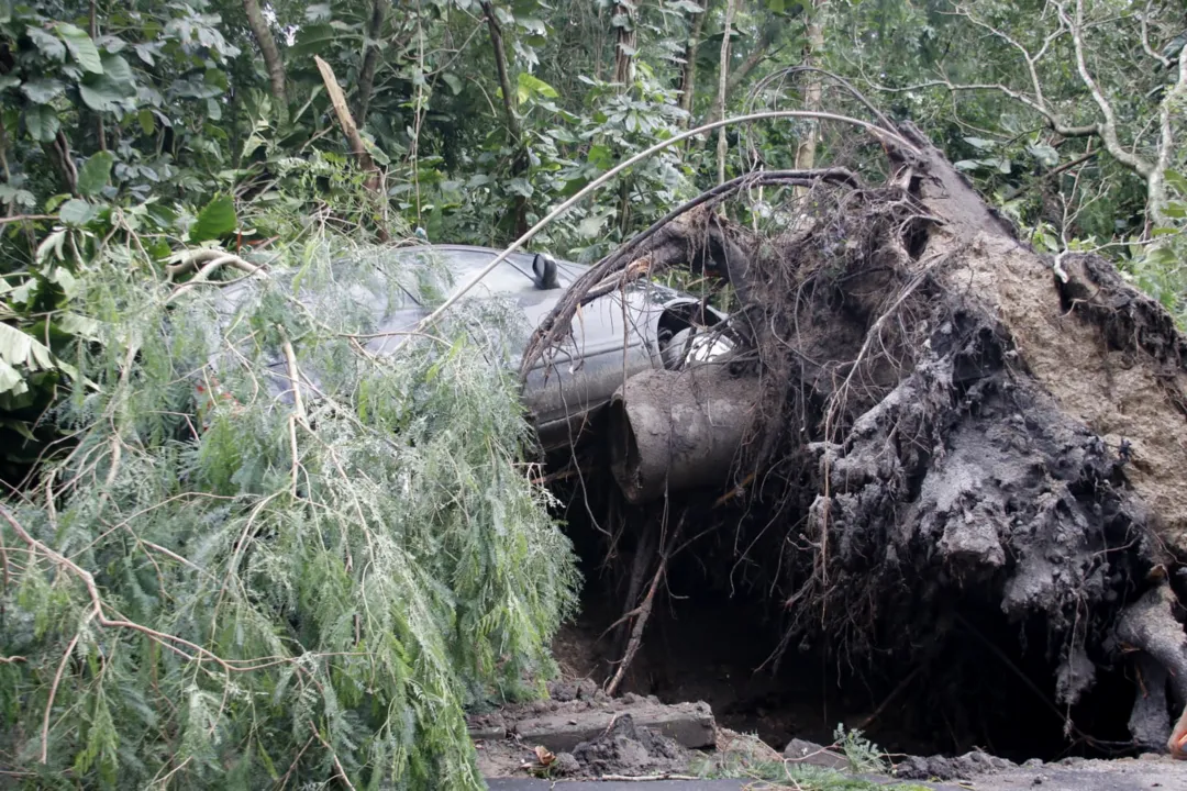 Carro fica pendurado em raiz de árvore após chuva em Niterói