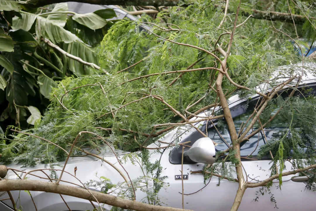 Carro fica pendurado em raiz de árvore após chuva em Niterói