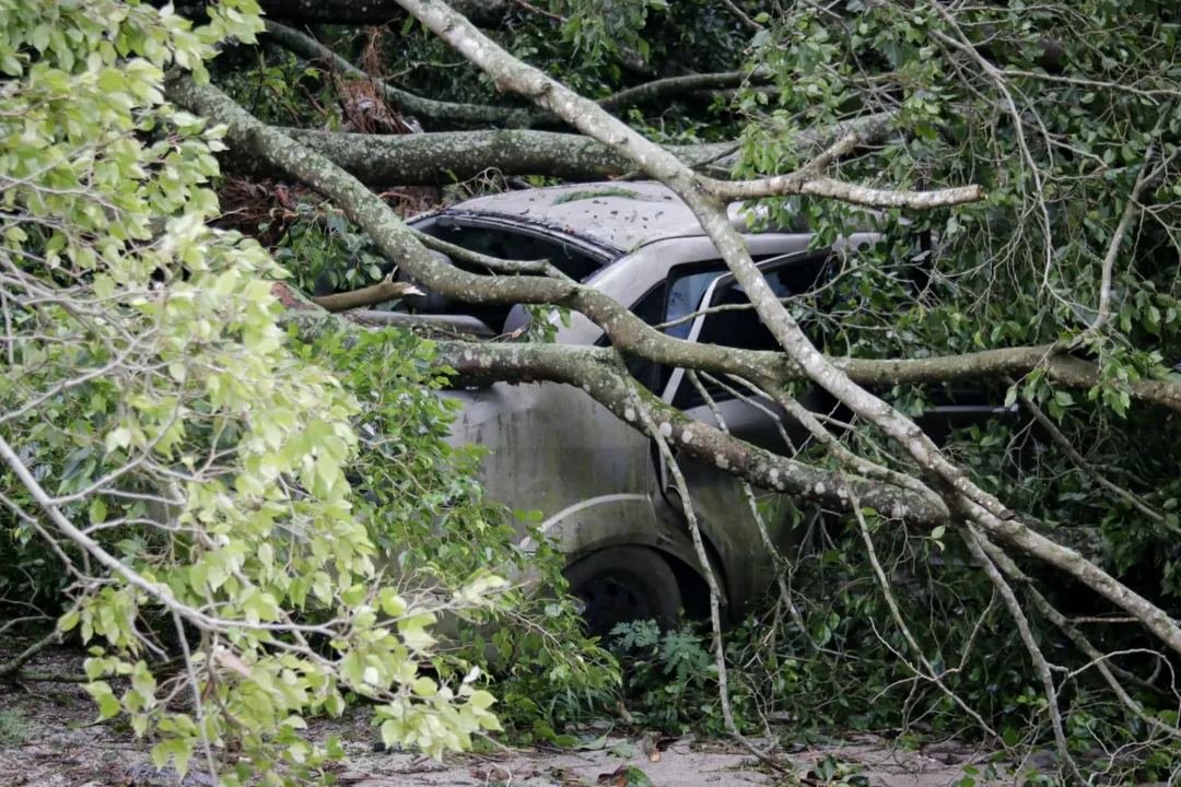 Carro fica pendurado em raiz de árvore após chuva em Niterói