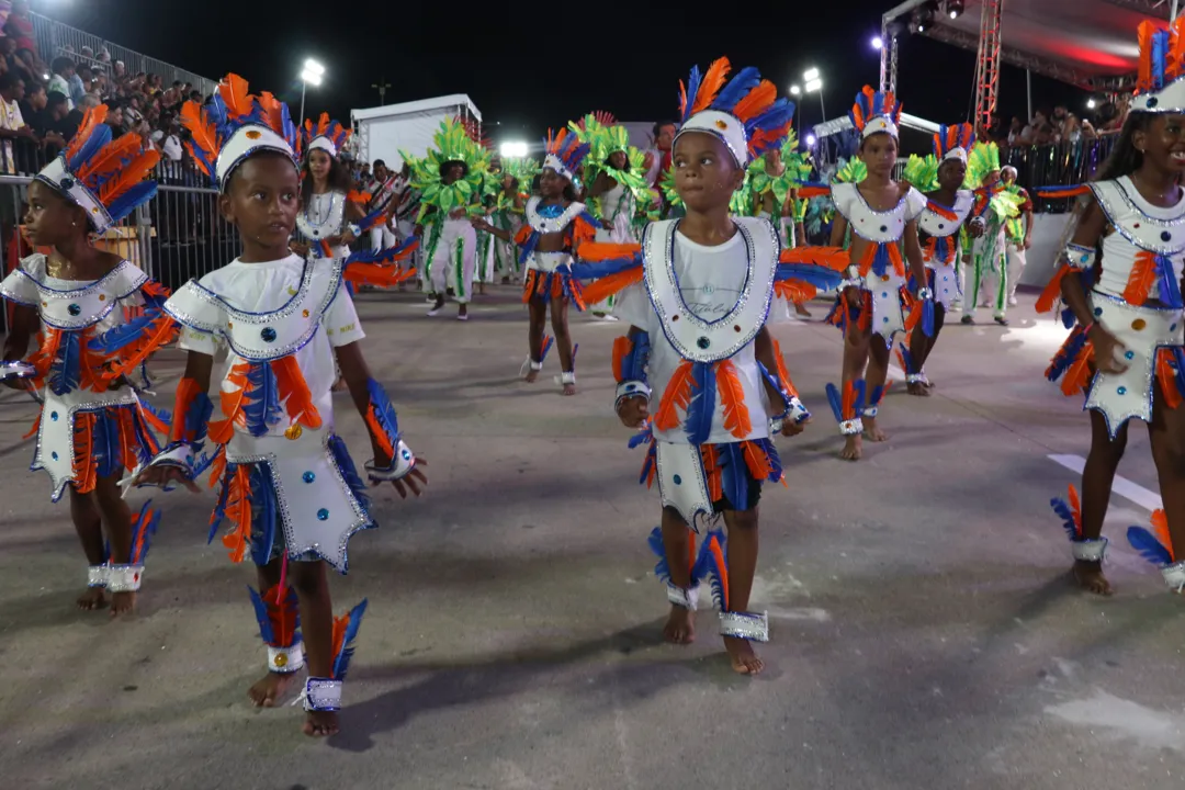 Escolas de samba brilharam na passarela