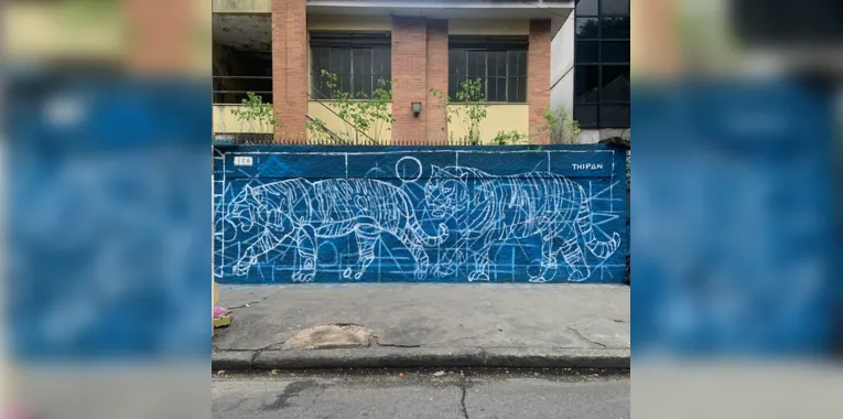 Thiago foi convidado pelo dono da casa para realizar a pintura dos tigres 