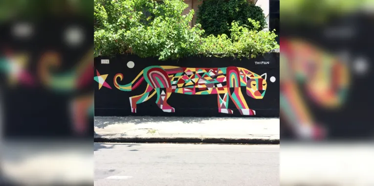 Antes dos tigres, ficava uma onça no muro do local 