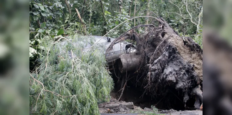Carro fica pendurado em raiz de árvore após chuva em Niterói