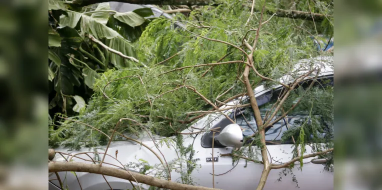 Carro fica pendurado em raiz de árvore após chuva em Niterói