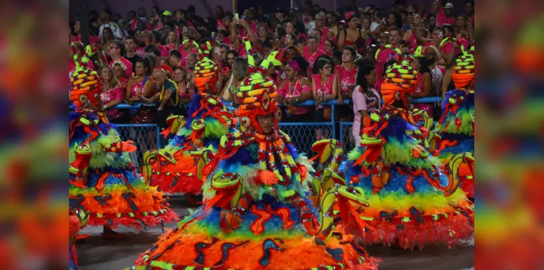 Pra vitória da Viradouro! Niterói é campeã do carnaval
