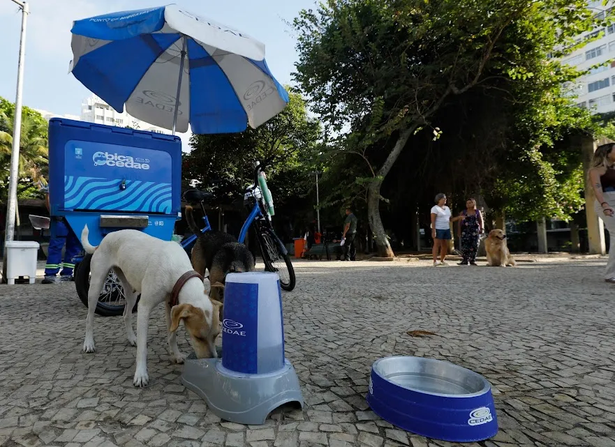 Pets também ganham refresco no calor carioca