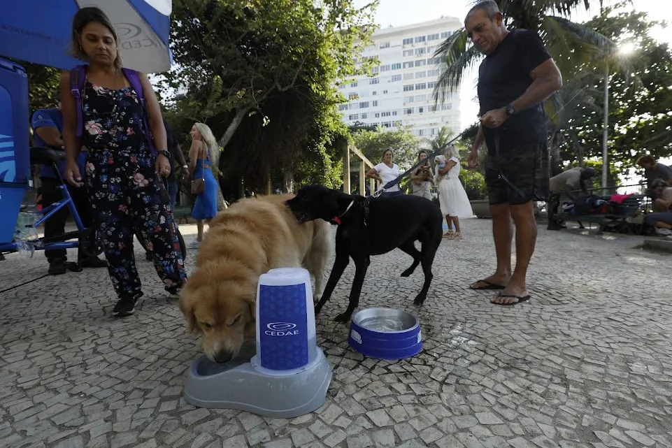 Pets também ganham refresco no calor carioca