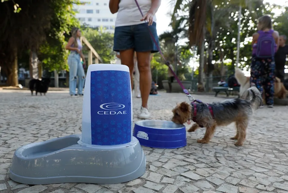 Pets também ganham refresco no calor carioca